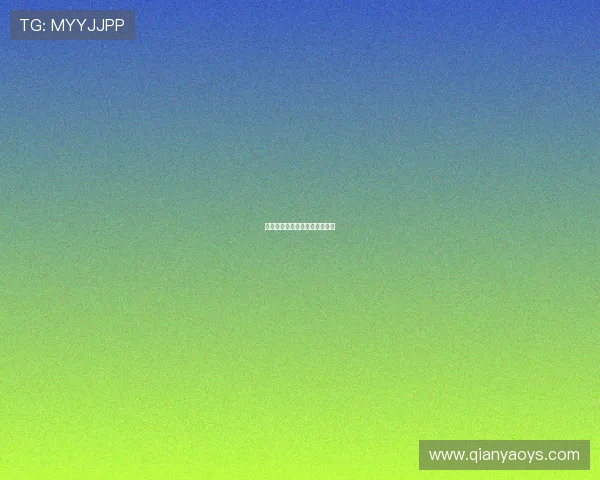 完美回忆：珍藏时光，定格永恒